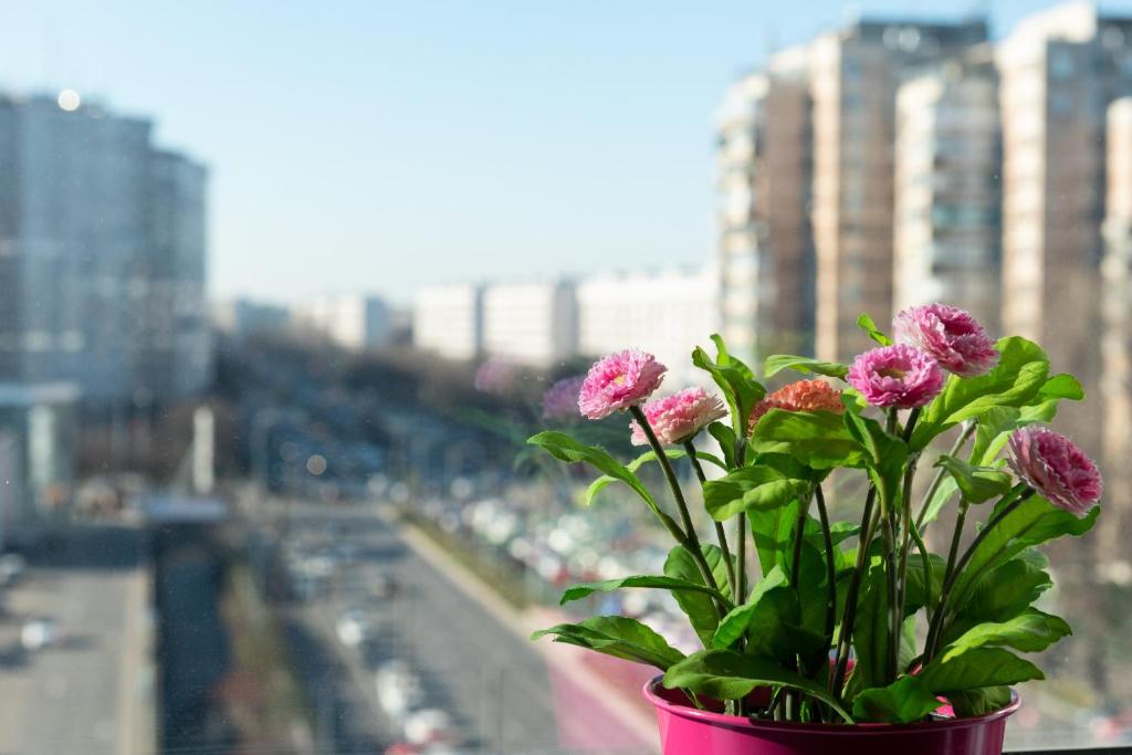 Lujerului Studio - Studio Apartment