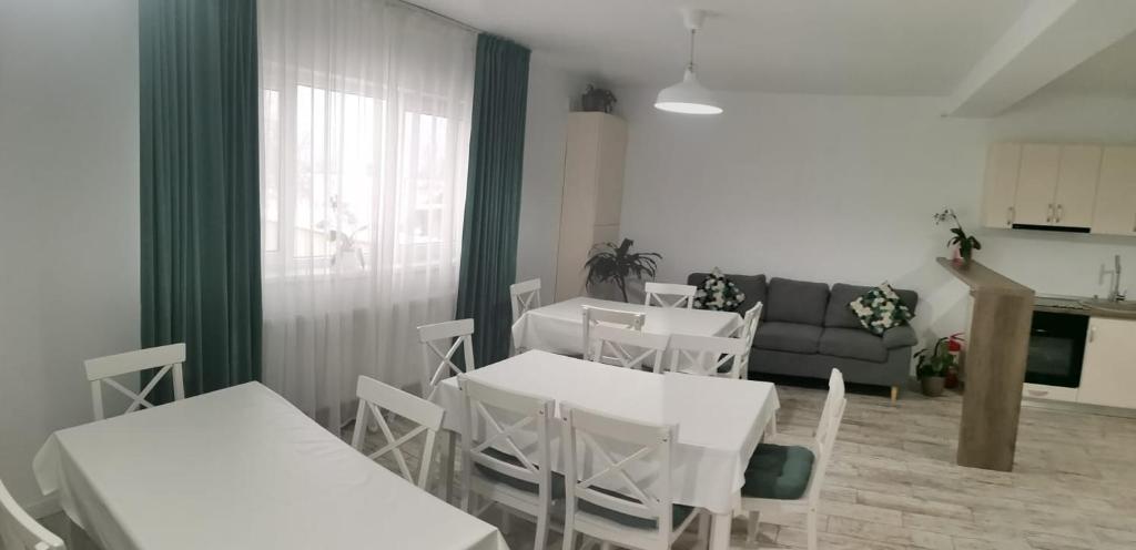 Kuchyň nebo kuchyňský kout v ubytování Casa DAnto