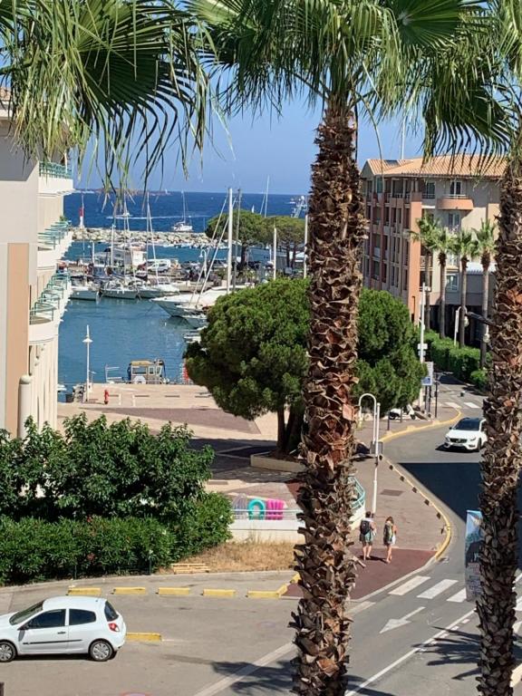 un palmier dans une rue de la ville avec un port dans l'établissement Port Frejus - Le Romanée - Appartement vue mer - 2 Chambres, à Fréjus