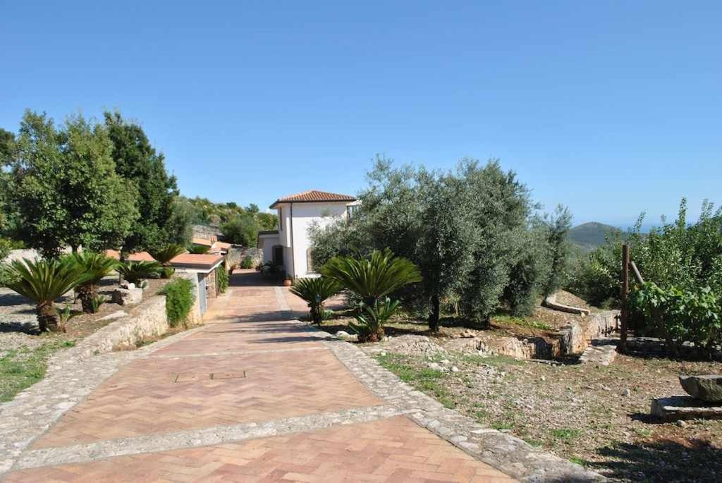 Ogród w obiekcie Uva & Stelle Maison in collina di Sperlonga