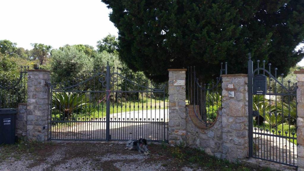 Ogród w obiekcie Uva & Stelle Maison in collina di Sperlonga