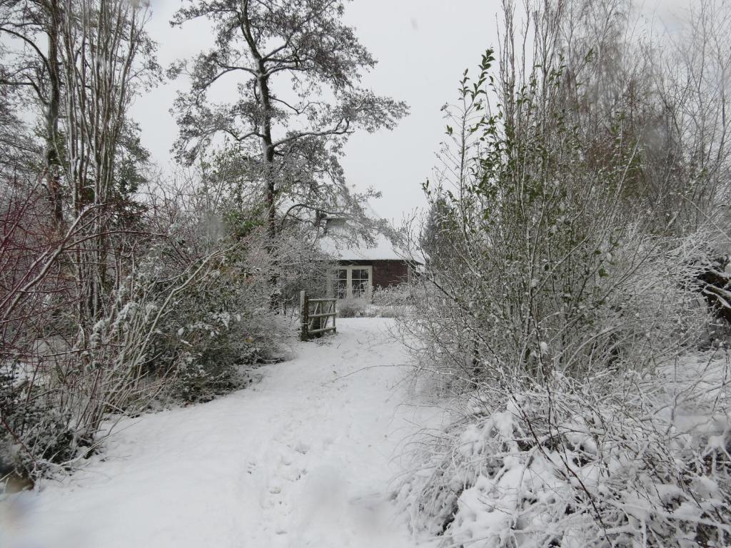 Uylkenshof safaritenten en natuurhuisjes v zimě