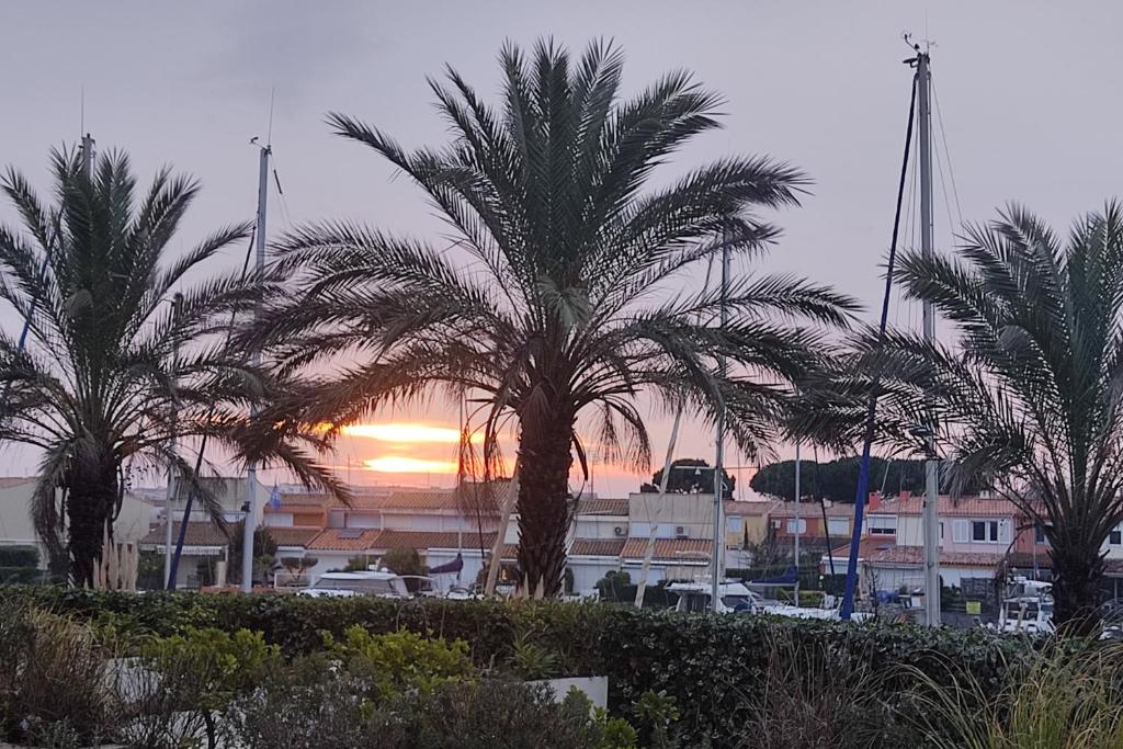 a group of palm trees in front of a sunset at Le Cap Marina in Cap d'Agde