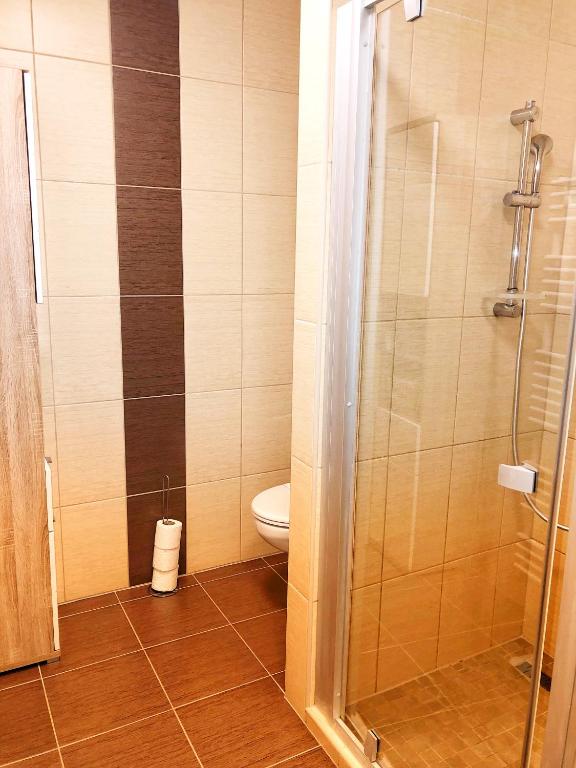 Koupelna v ubytování Boró Apartman