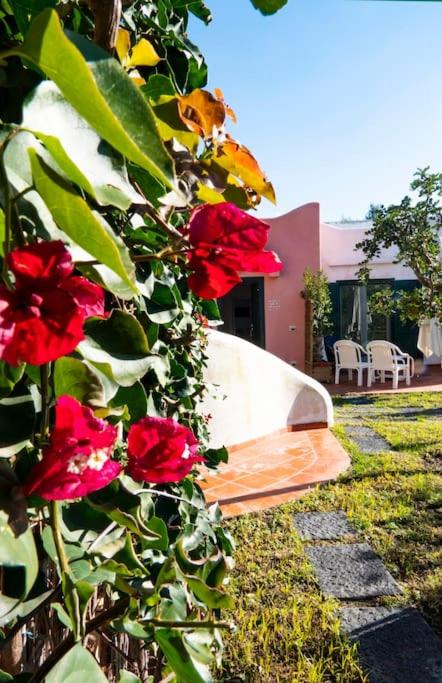 Zahrada ubytování Villa Conchiglia blu con piscina