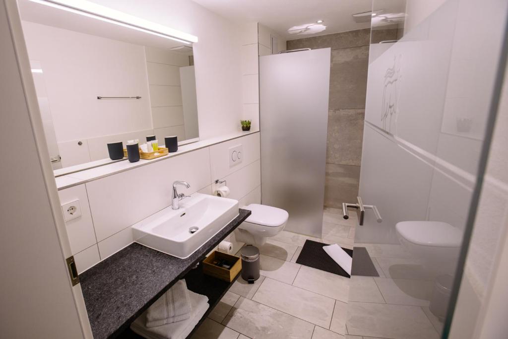 Hotel Restaurant Lamm Rosswag - Habitación Doble