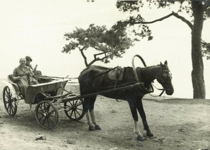 an old photo of a horse pulling a man in a carriage at Orhan Kutbayin Evi in Buyukada