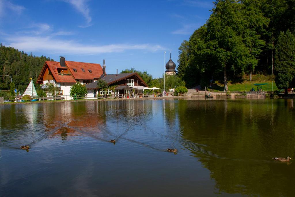 Peisaj natural din apropierea acestei pensiuni