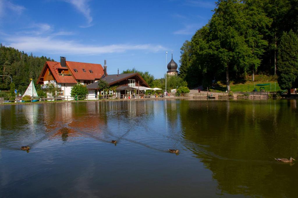 a lake in front of a building and a church at Self-check-in Ferienwohnungen & Apartments am Bergsee in Triberg