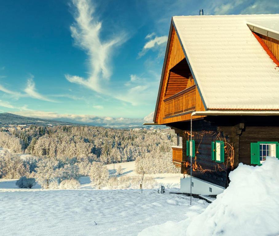a log cabin in the snow with a view at Apartment Lannach in Lannach