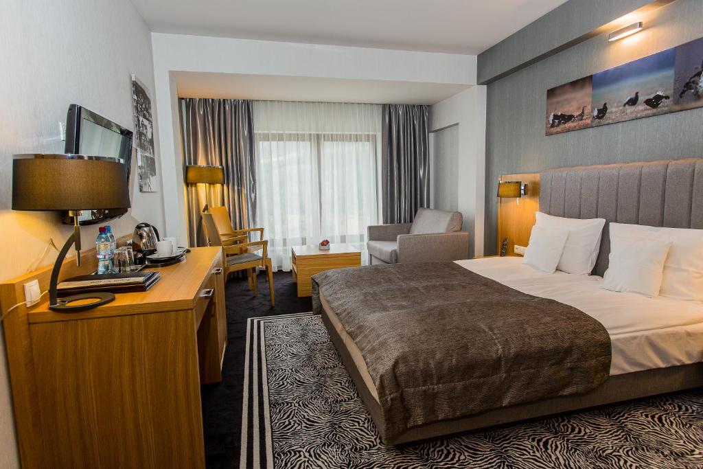 Hotel & Medi-Spa Biały Kamień - 15