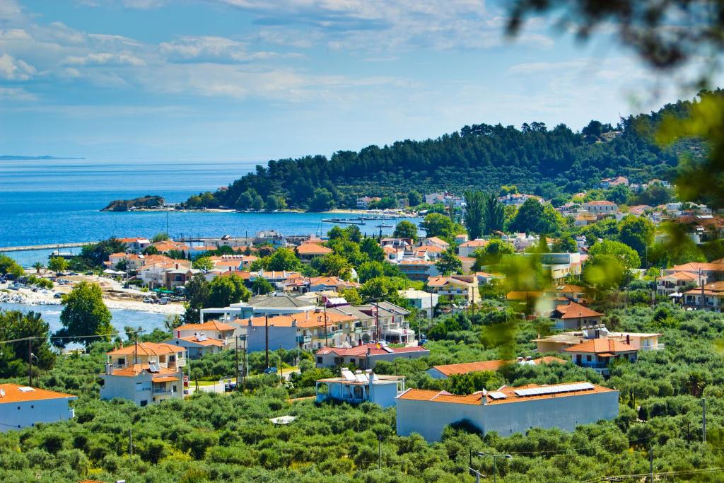 Príroda v okolí vily