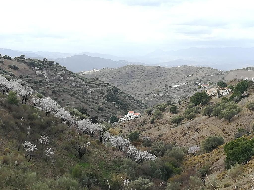 Bed and Breakfast Casa Aguila 2.0, Los Valverde, Spain ...