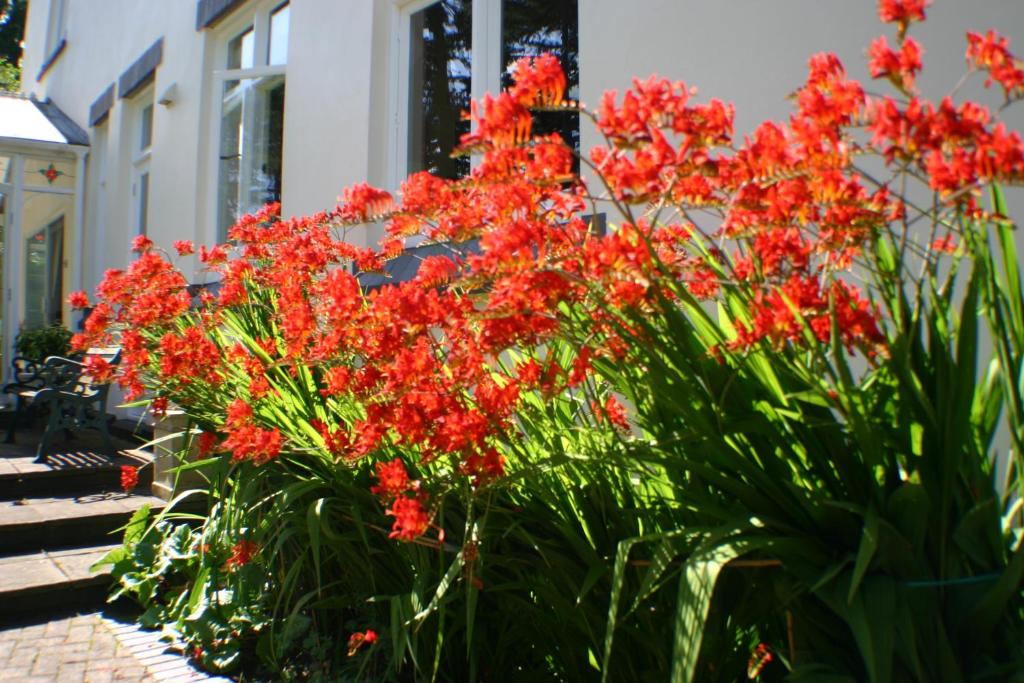 Zahrada ubytování Glenlyon Flat - NEC