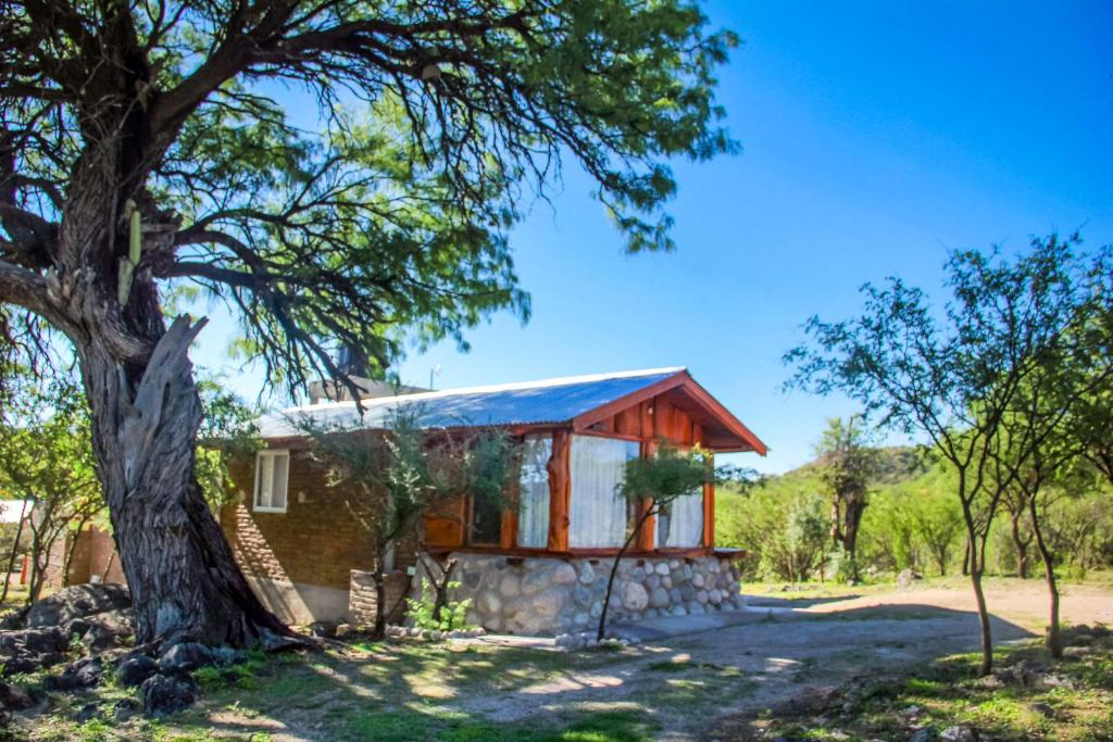 a house with a blue roof and a tree at Aguada Escondida in San Marcos Sierras