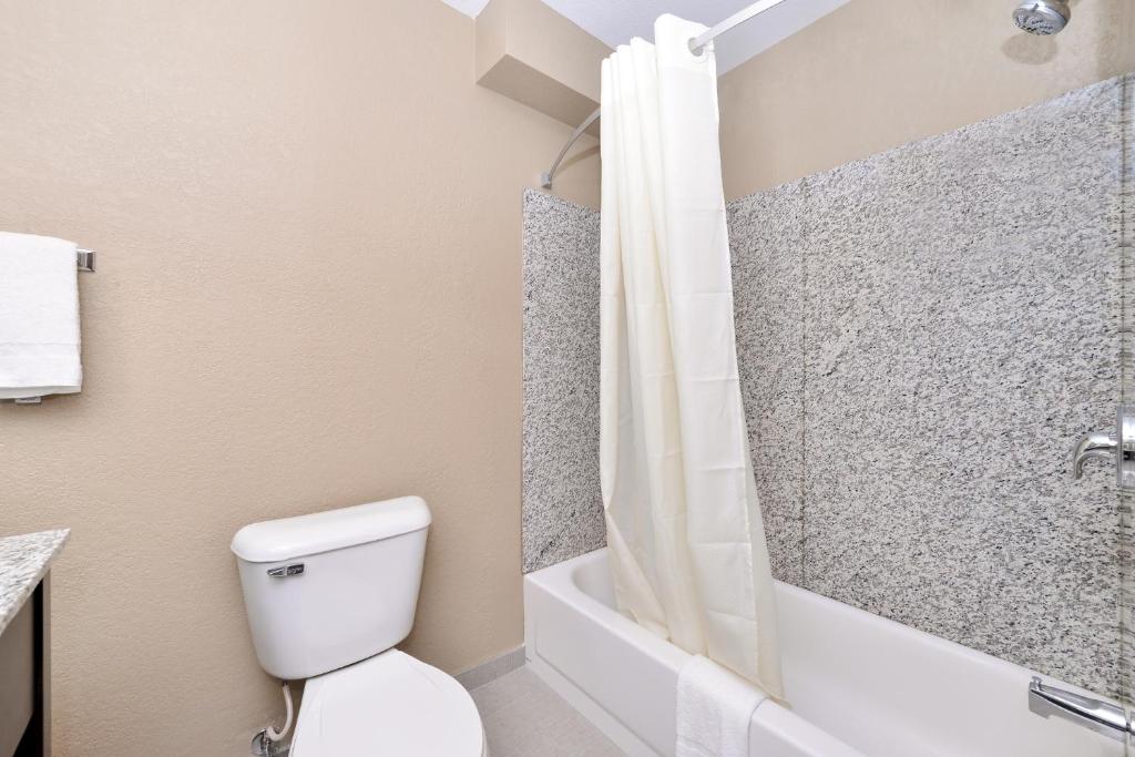 Comfort Inn & Suites Springfield I-55 - King Room - Accessible/Non-Smoking