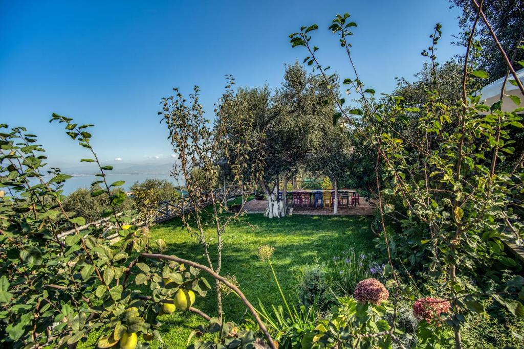 Zahrada ubytování Relais Palazzo del Barone