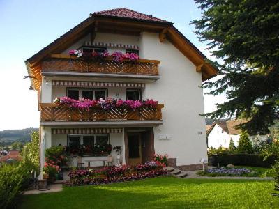 a house with flower boxes on the front of it at Villa Bellevue in Waldkappel