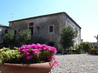 a pot of flowers in front of a building at Villa Franca in Viagrande