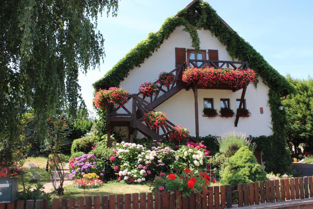 Zahrada ubytování Apartment Route du Vin Centre Alsace