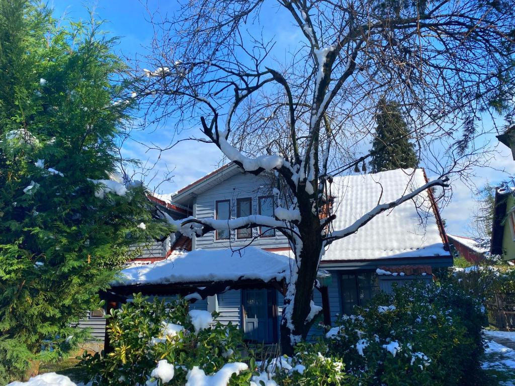 Villa Kirkpinar Sapanca - 18