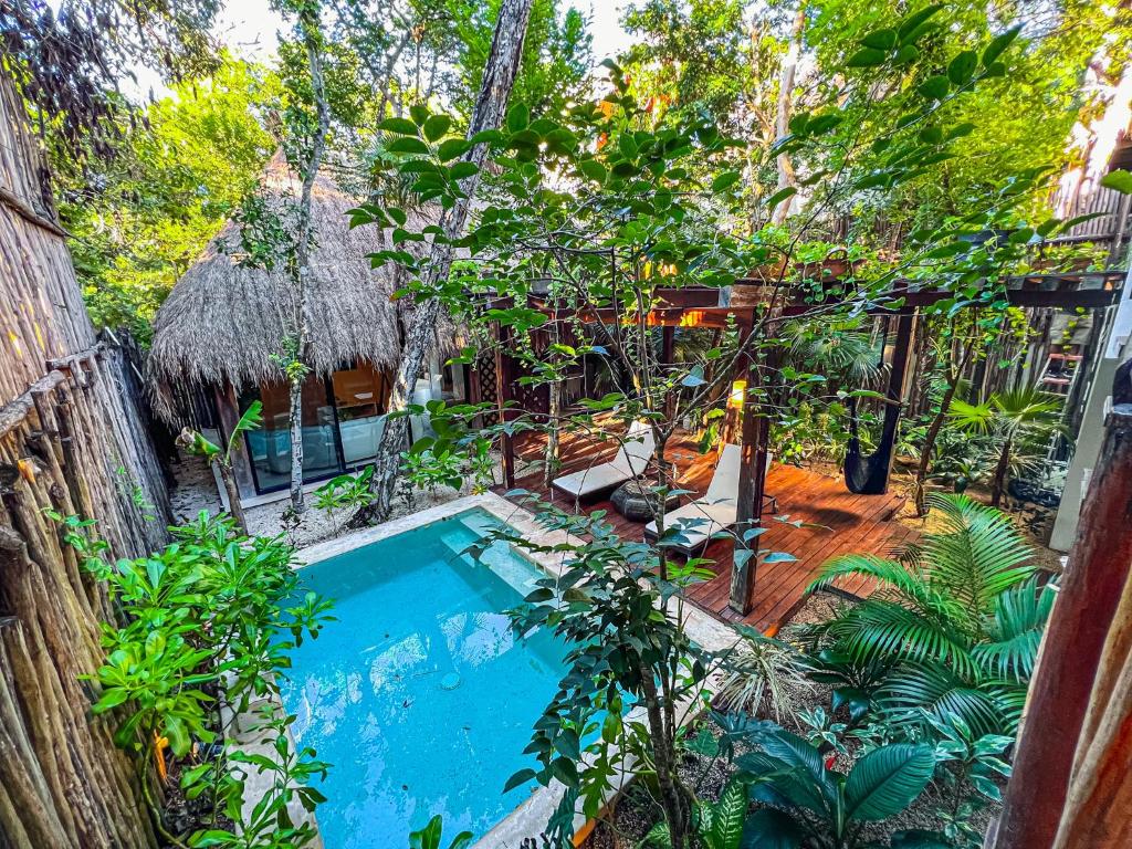 Uma vista da piscina em Orchid House Tulum ou nos arredores