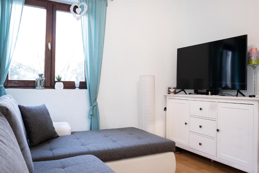 TV a/nebo společenská místnost v ubytování Villa Pag Dubrava Relax with Pool