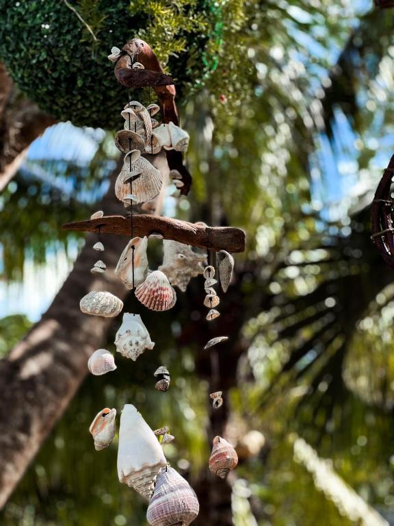 Fotografie z fotogalerie ubytování Zamunda Garden View v destinaci Tulum