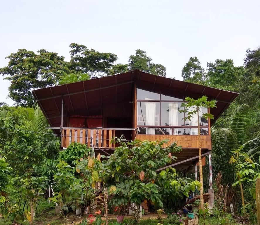 a tree house in the middle of a forest at Nido de Vida in San Miguel de los Bancos