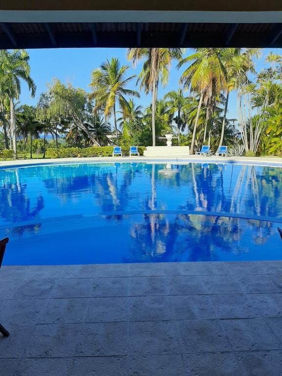 una gran piscina con palmeras en el fondo en Villa Costal 111, en San Felipe de Puerto Plata