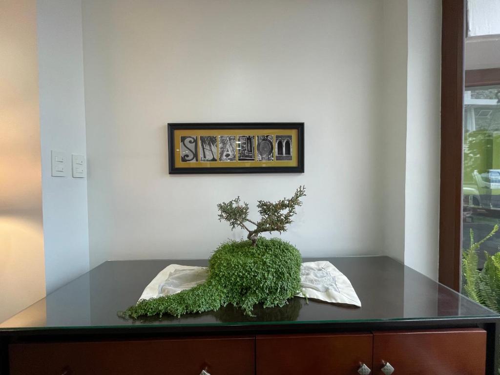 Fotografie z fotogalerie ubytování Hotel Shalom v destinaci Riobamba