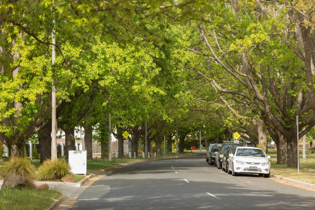 Forrest Hotel & Apartments - Resim 14