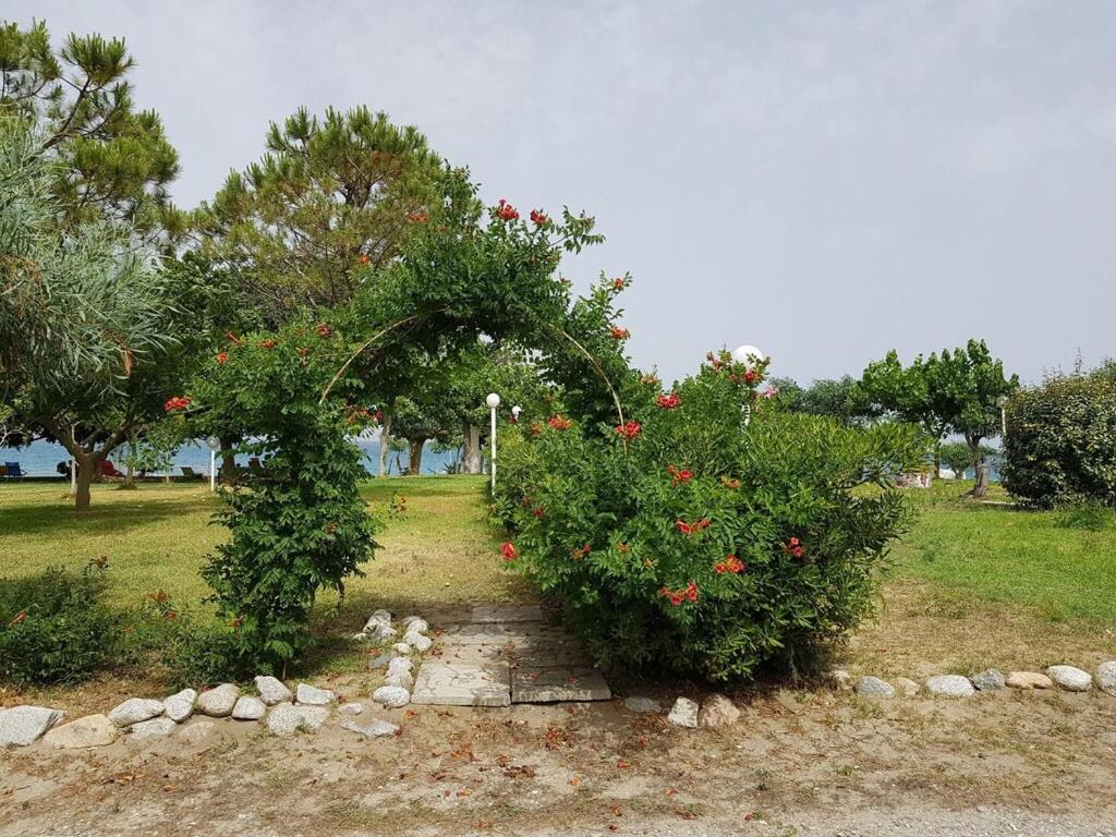 A garden outside Santa Caterina Coastal Villa