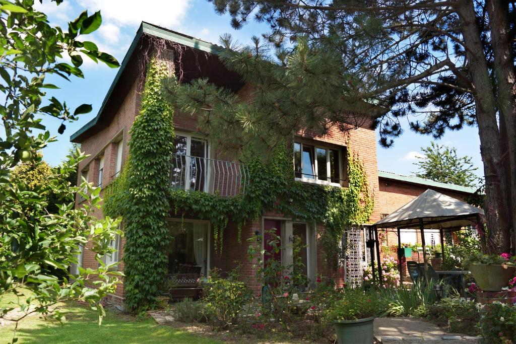 a house with ivy on the side of it at La Maison D'Adam in Hellemmes-Lille