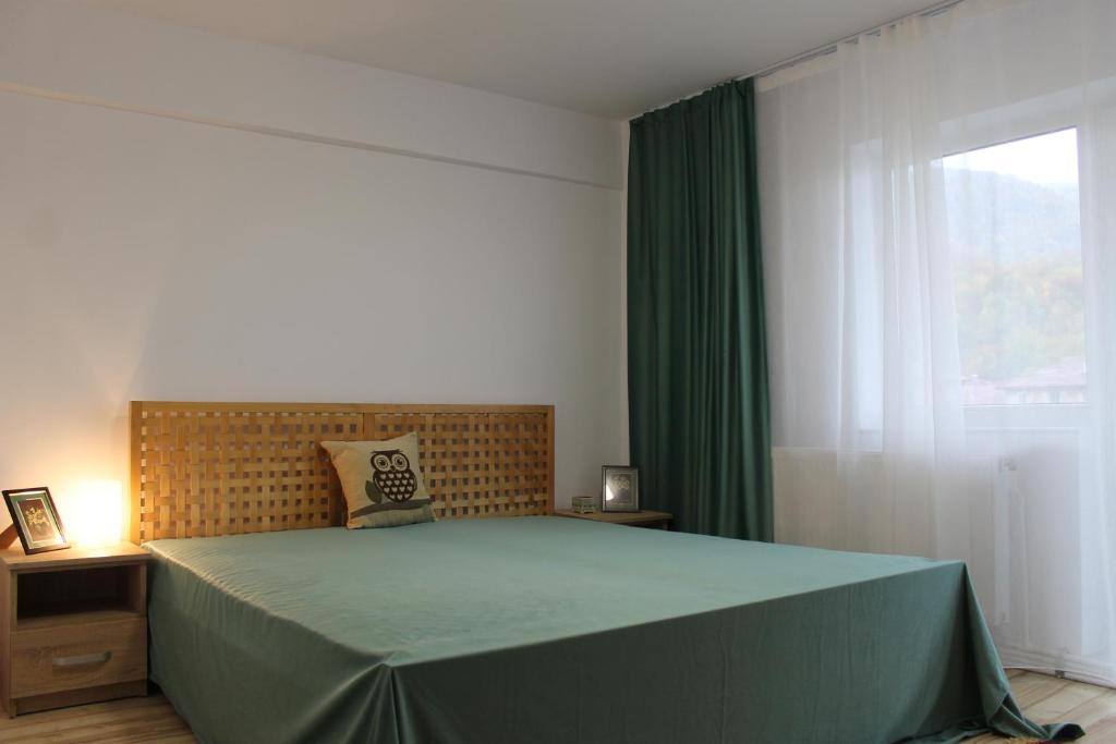 a bedroom with a green bed with a window at Apartament Hanna - Straja in Uricani