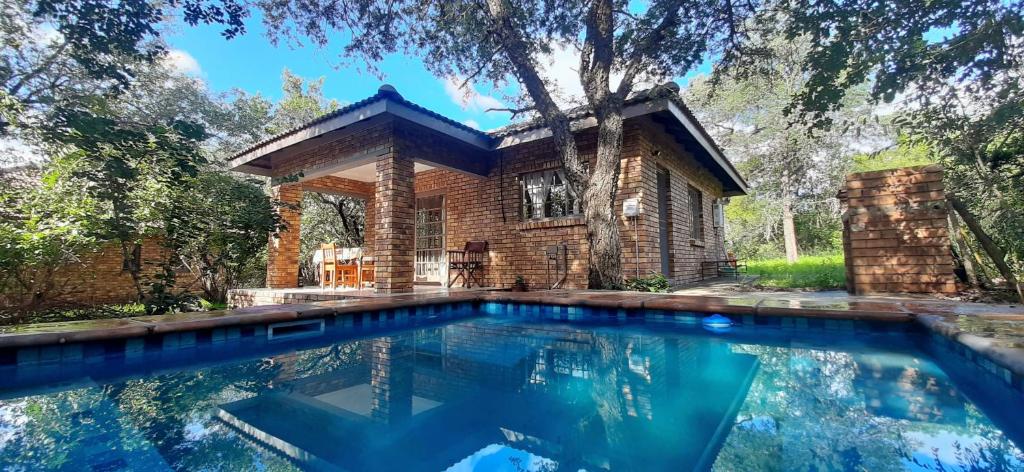 a swimming pool in front of a house at Nature Cottage in Marloth Park