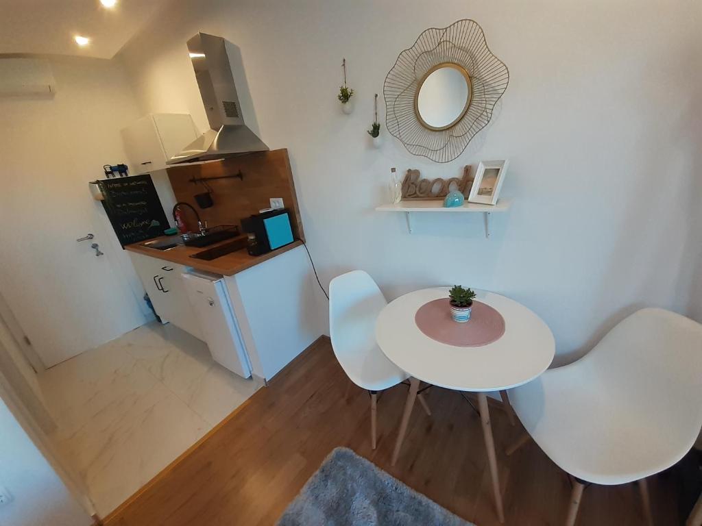 Kuchyň nebo kuchyňský kout v ubytování Barko apartment and rooms