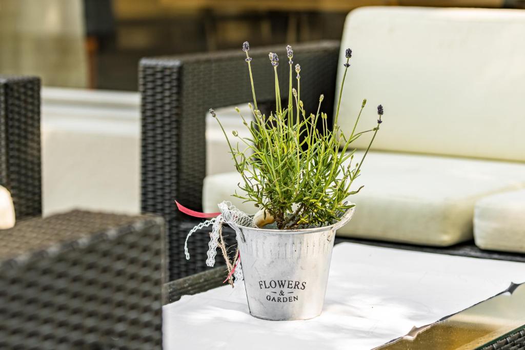Posezení v ubytování Hotel Schützen Rheinfelden
