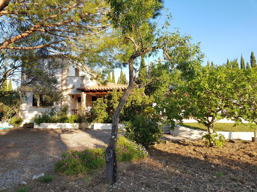 Zahrada ubytování Villa Milagro - 3 bedroom Finca style Villa with Pool near Golf Course/Beaches - Air Cond.