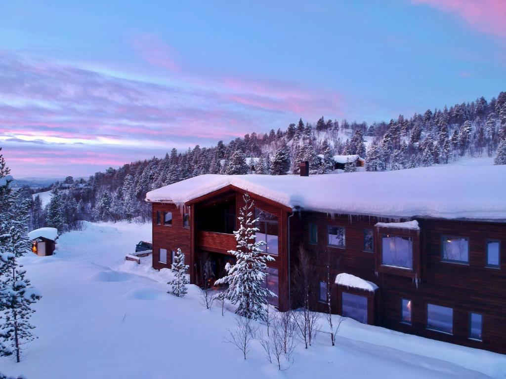 Gallery image of Bjørnfjell Mountain Lodge in Alta