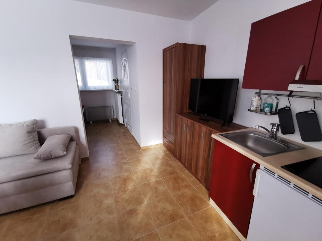 Kuchyň nebo kuchyňský kout v ubytování ​Gästehaus Frans-Jozef