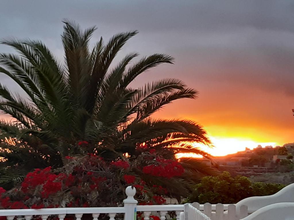 The sunrise or sunset as seen from Az apartmant or nearby