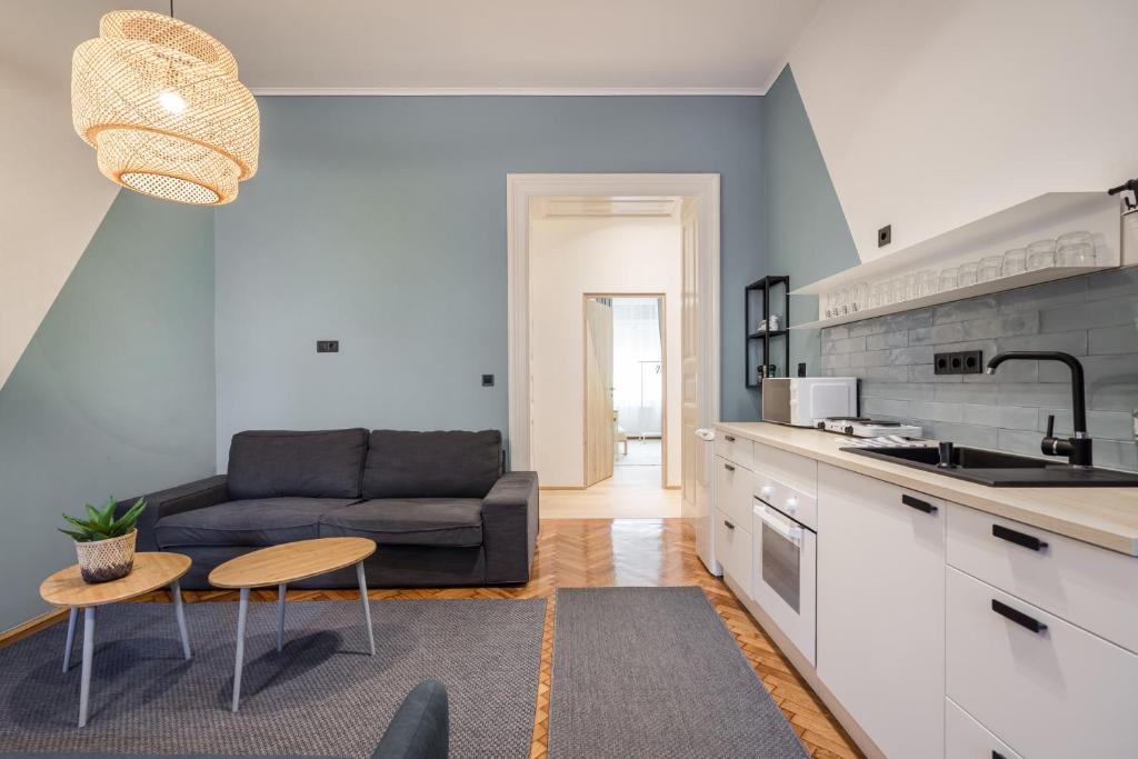 una cucina e un soggiorno con divano e tavolo di Apartment Downtown Budapest Ferenc 42 a Budapest