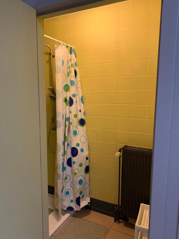 a bathroom with a shower with a shower curtain at Carpe Diem in Jumet
