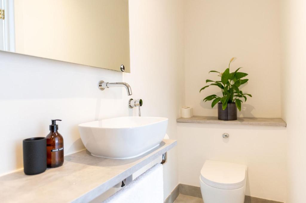 a bathroom with a white bowl sink and a plant at Doghouse Margate in Kent