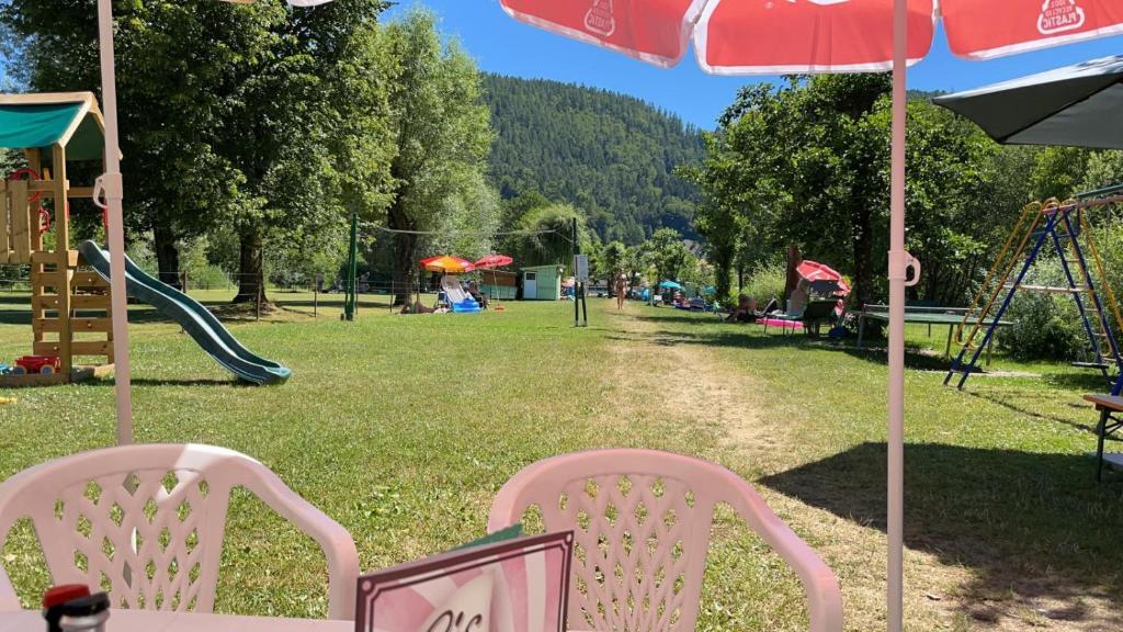 Příroda nedaleko apartmánu