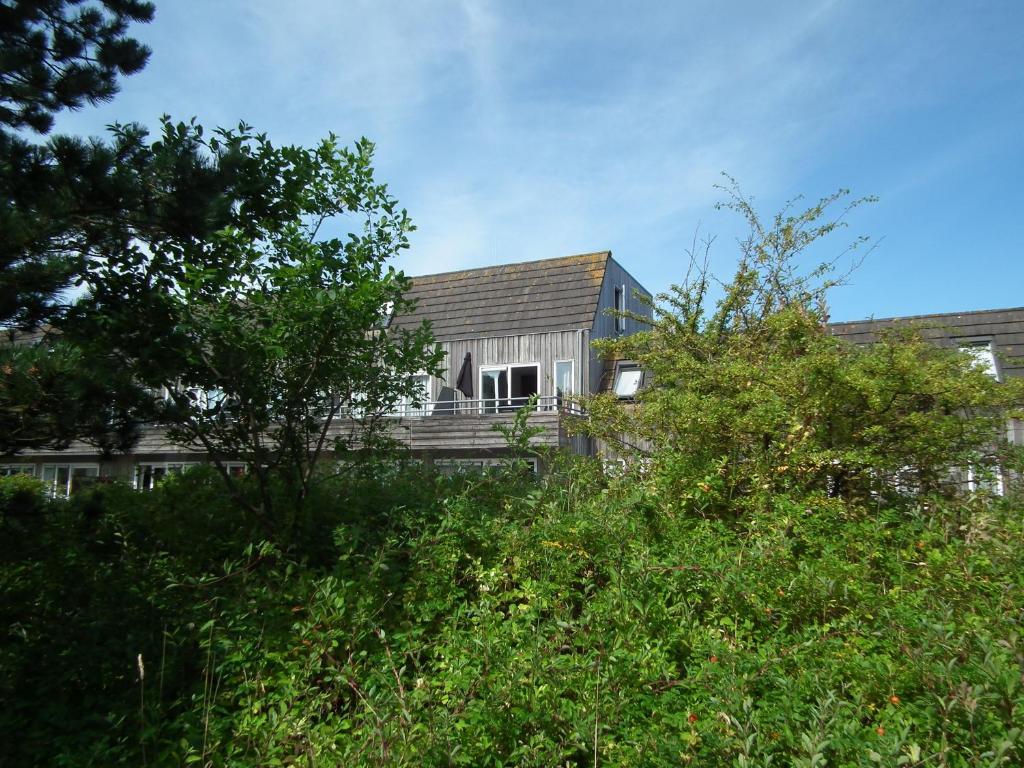 a house with a shingled roof and trees at Hollumerduinen in Hollum