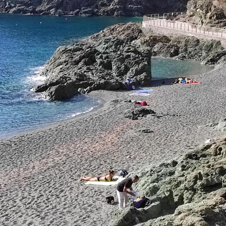 Príroda v okolí apartmánu