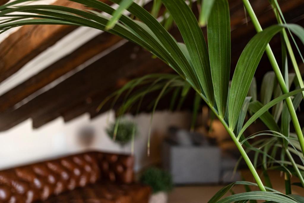 Petit Palace Preciados - Resim 32