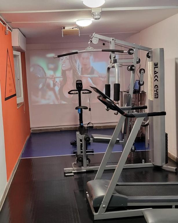 Fitness centrum a/nebo fitness zařízení v ubytování Hotel Viscount